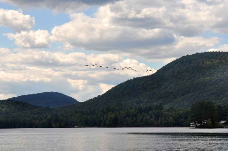 lakegeese.jpg